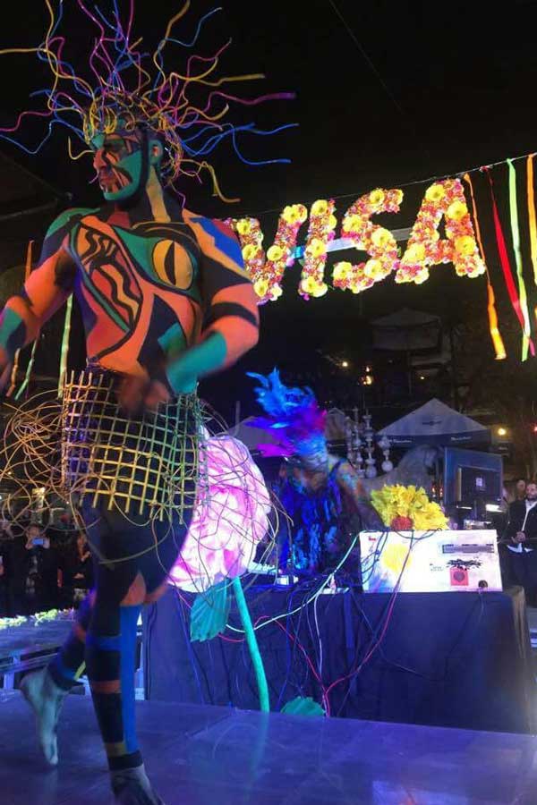 visa-600x900